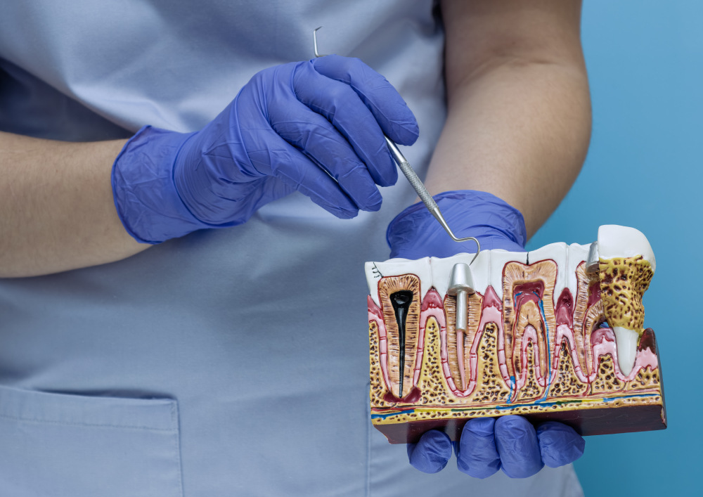 รูปภาพ Belix Dental